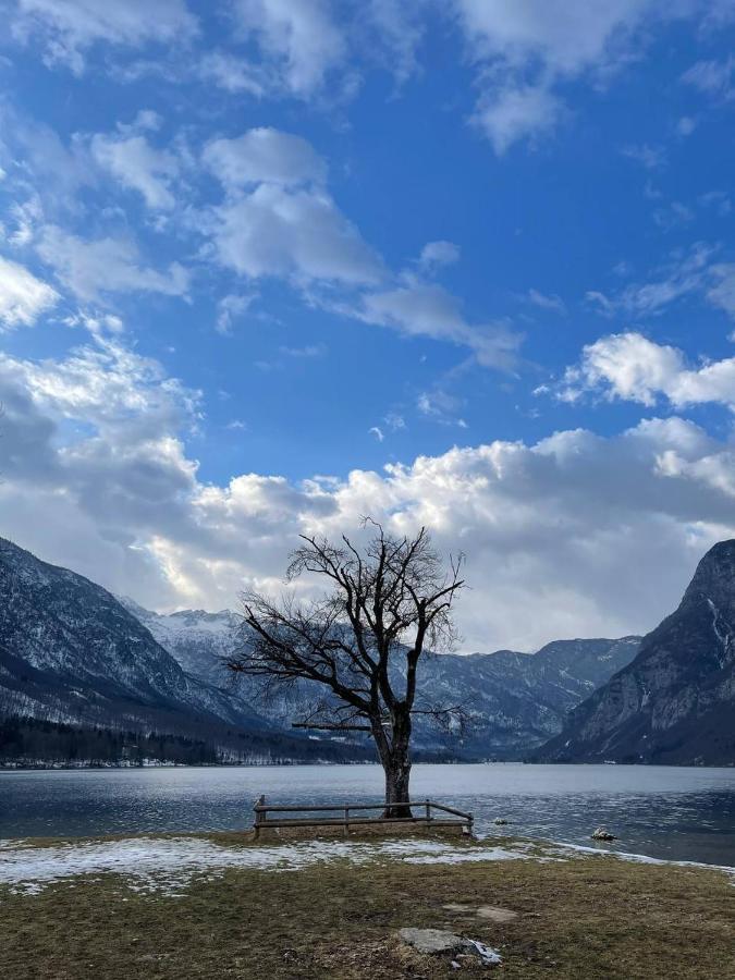 Remarkable Home Bohinj Lake Екстериор снимка